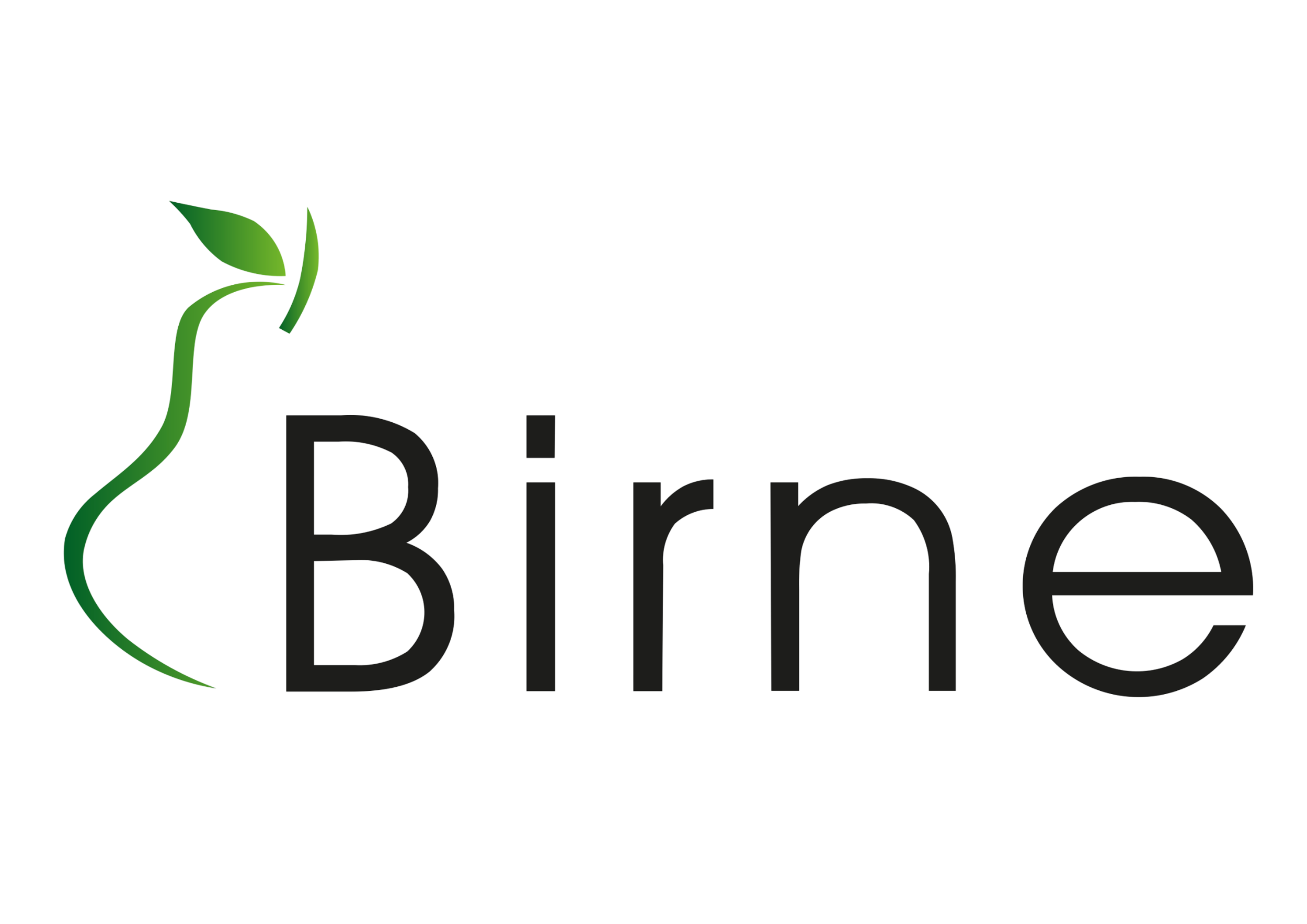 Birne HealthCare Logo